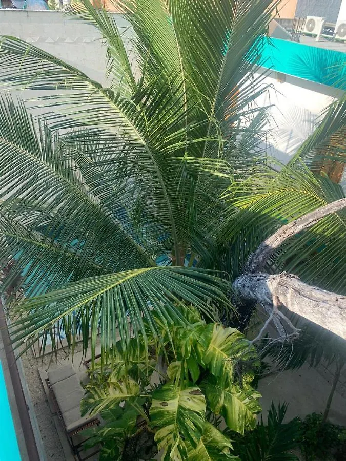 Los Arcos Hotel - TULUM